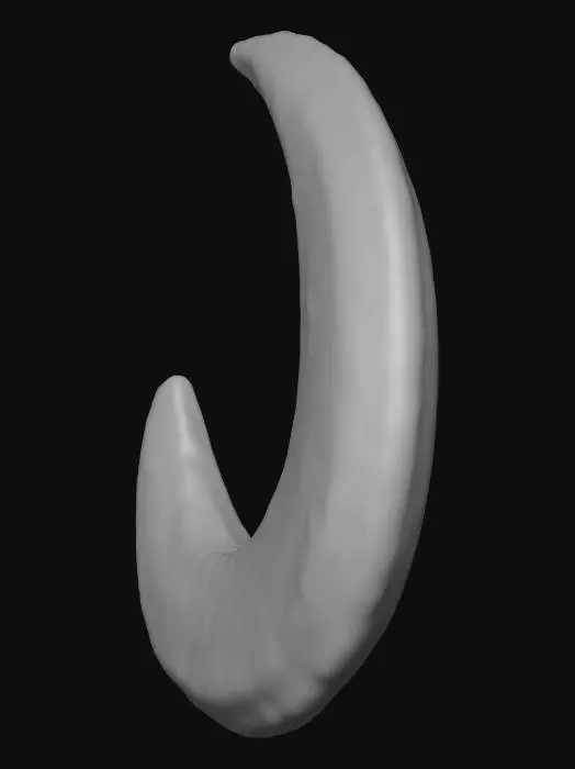 3D model for crescent