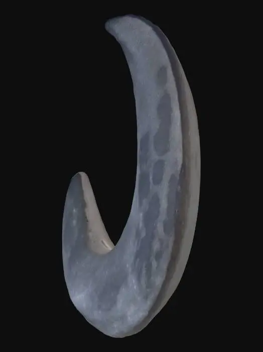 3D model for crescent