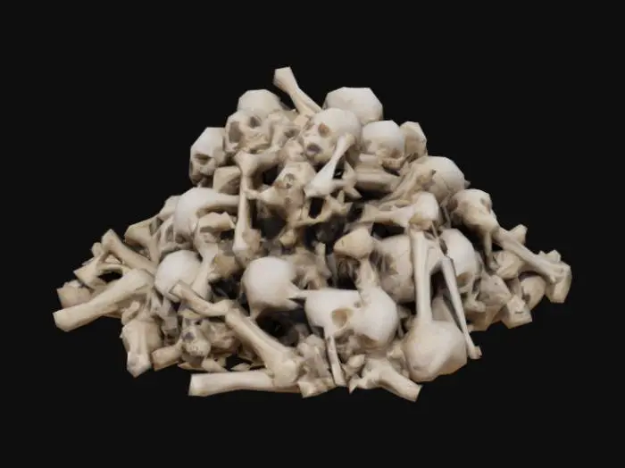 3D model for A pile of bones.