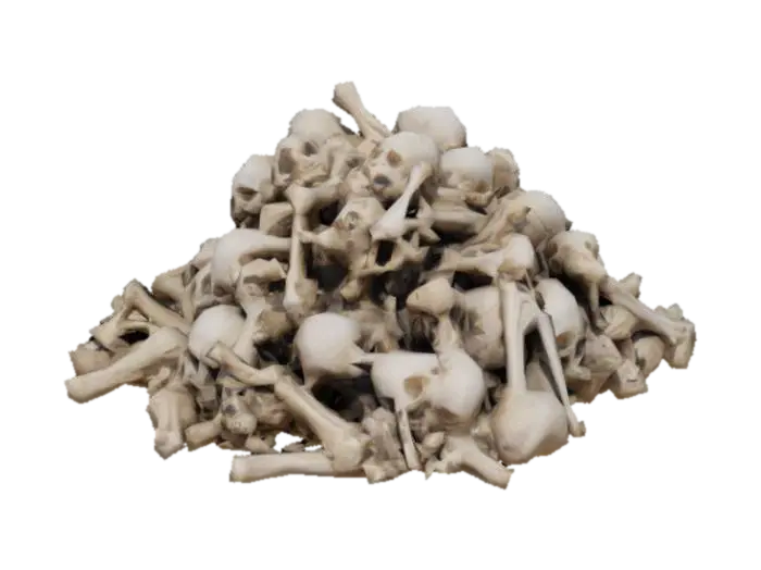 A pile of bones. - Vertebrae 3D model, vytvořený pomocí AI