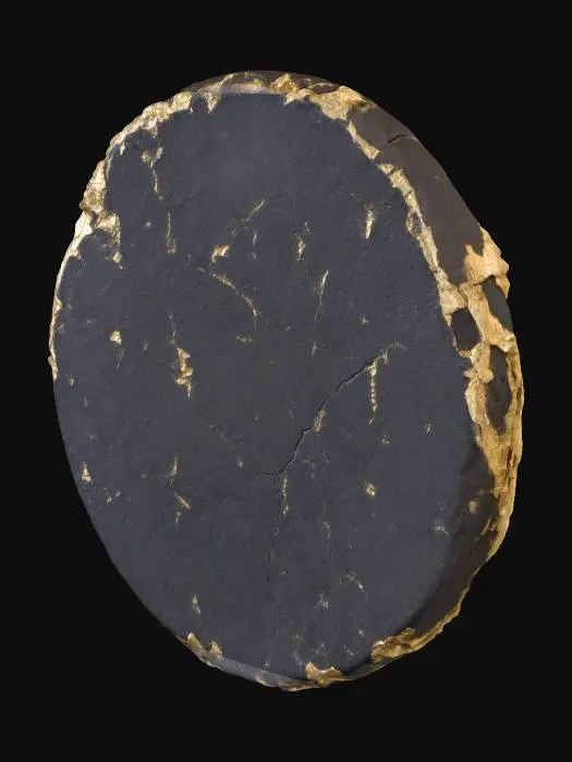 3D model for Golden Fracture