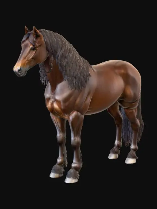 3D model for Um imponente cavalo de guerra medieval de cor castanha escura ou preta, com uma pelagem curta e densa que exibe um brilho subtil. Os seus músculos são visivelmente definidos, especialmente nas patas robustas e no pescoço grosso e arqueado, transmitindo uma sensação de poder e resistência. A crina e a cauda são longas e espessas, de um tom mais escuro, com uma textura sedosa e forte. Os seus olhos são grandes e alertas, e as narinas dilatadas mostram uma respiração controlada. A pele é lisa ao toque, mas firme sobre a estrutura óssea sólida.