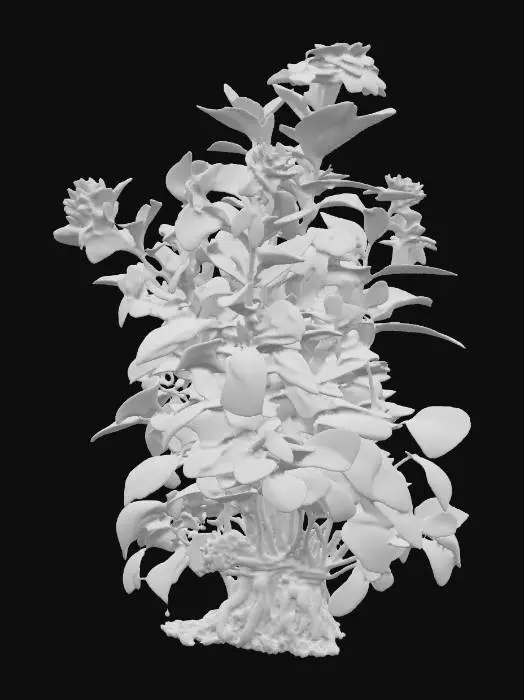 3D model for Generate an 3d model of senna plant/herb.