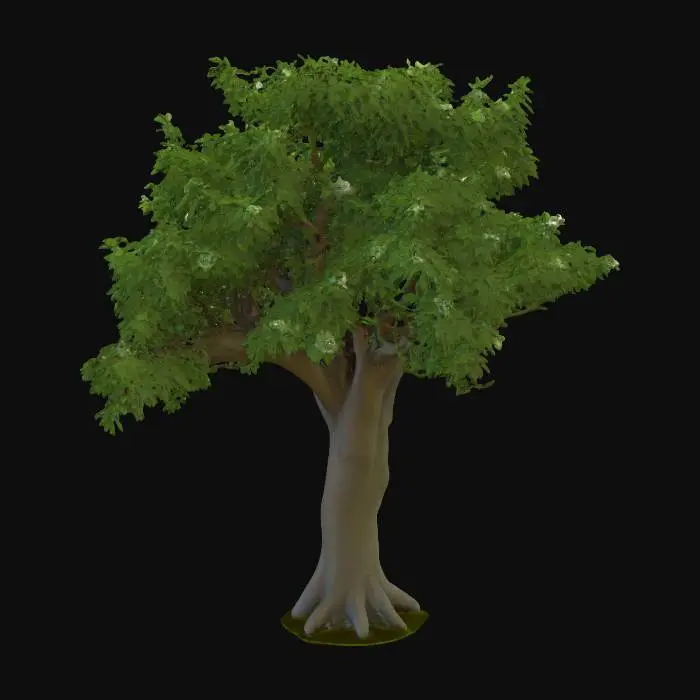 3D model for Generate an 3d model of neem (Margosa tree or Indian lilac) plant/herb.