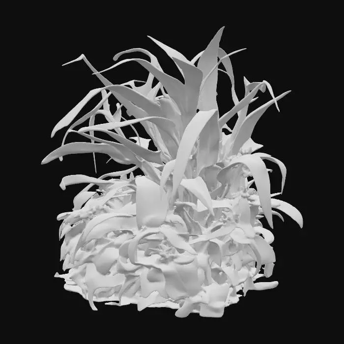 3D model for Generate an 3d model of Land-Calotrops (Chlorophytum Borivilianum) plant/herb.