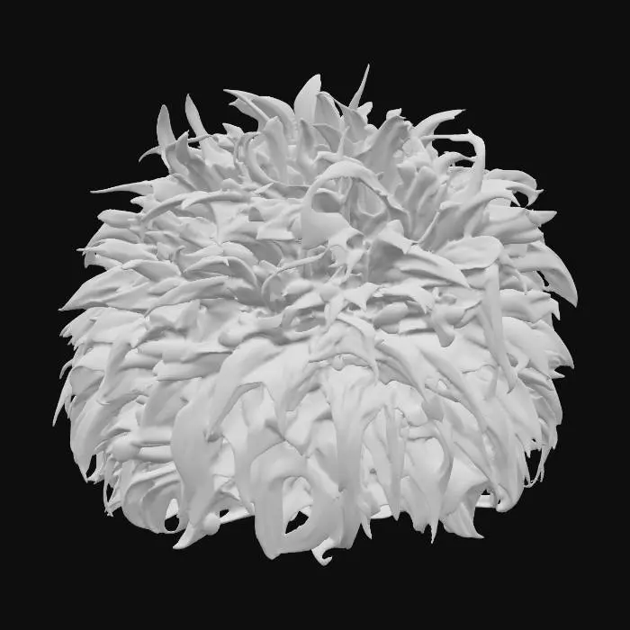 3D model for Generate an 3d model of Land-Calotrops (Chlorophytum Borivilianum) plant/herb.