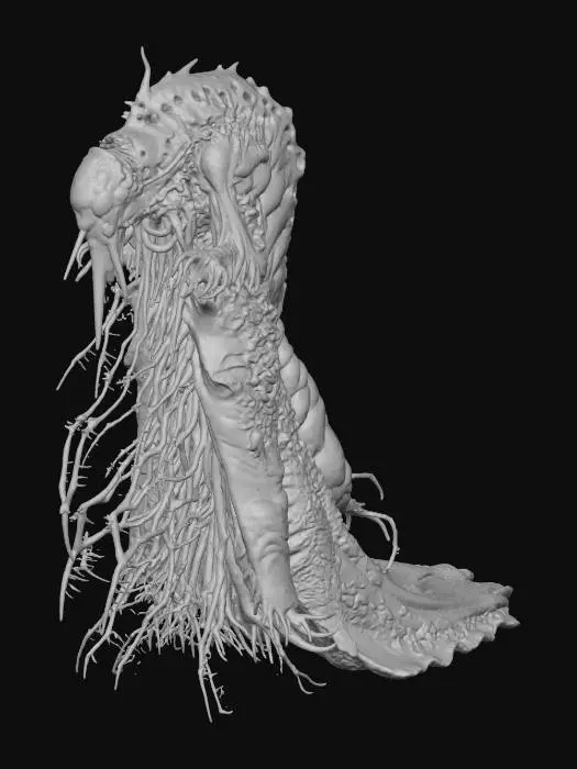 3D model for Eldritch Emerging Larvae