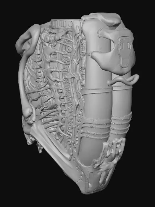 3D model for Modular Biomechanical Fusion Wall section