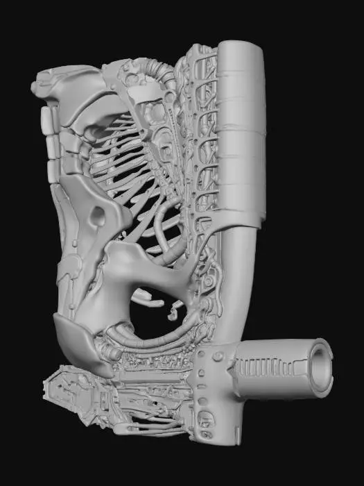 3D model for Biomechanical Fusion Wall Module