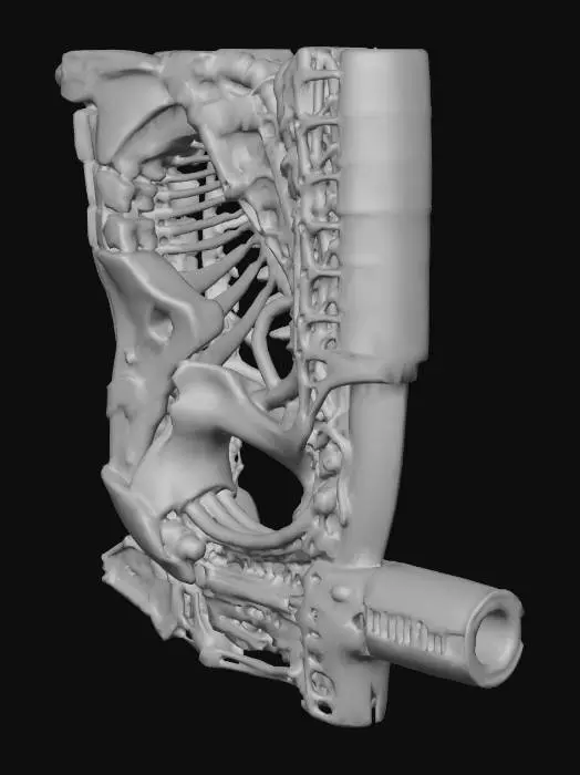 3D model for Biomechanical Fusion Wall Module