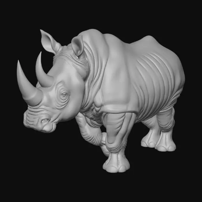 3D model for Rhythmic Rhino