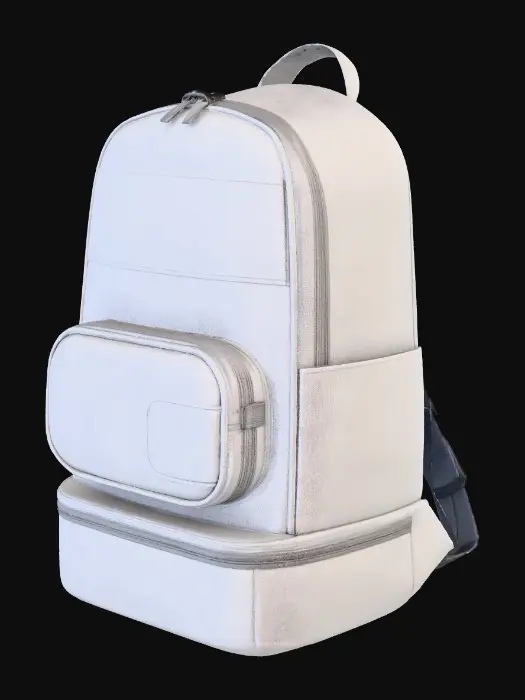 3D model for Saga sacs