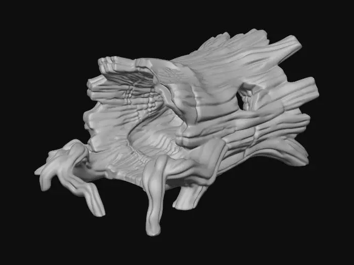 3D model for Hollow Root