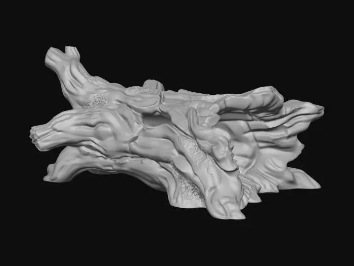 3D model for Gnarled Driftwood