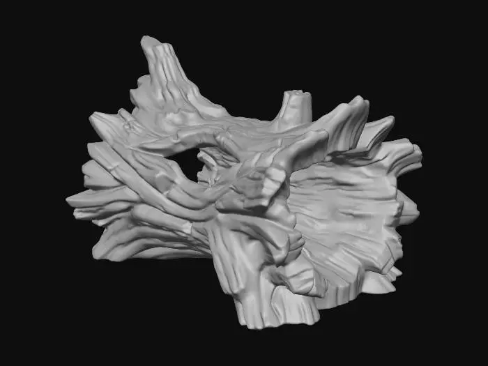 3D model for Driftwood Arch