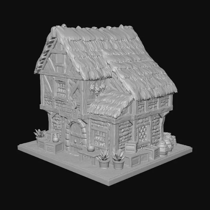 3D model for The Herbalist's Heart