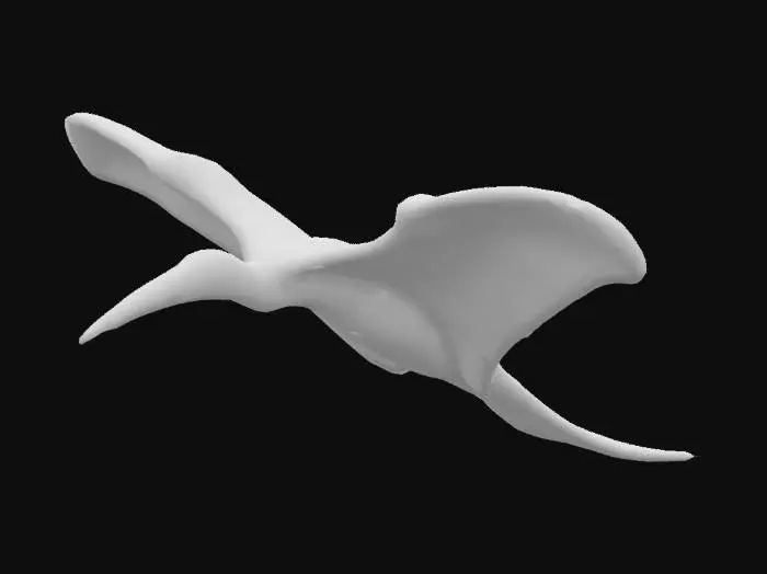 3D model for Stingray Pterosaur