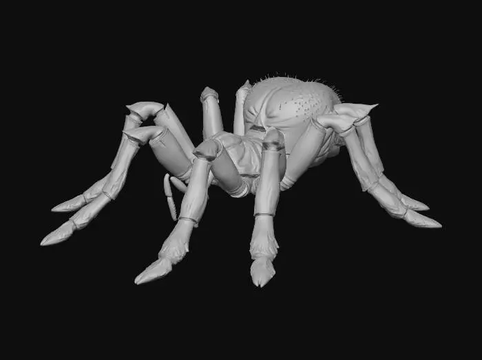 3D model for Arachnid Titan