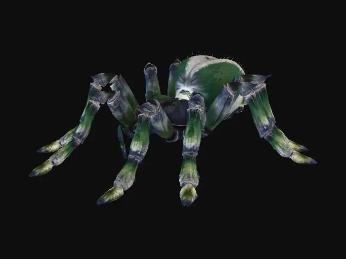 3D model for Arachnid Titan