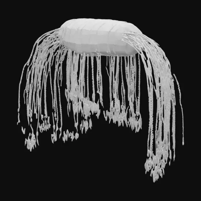 3D model for Quipu Representation