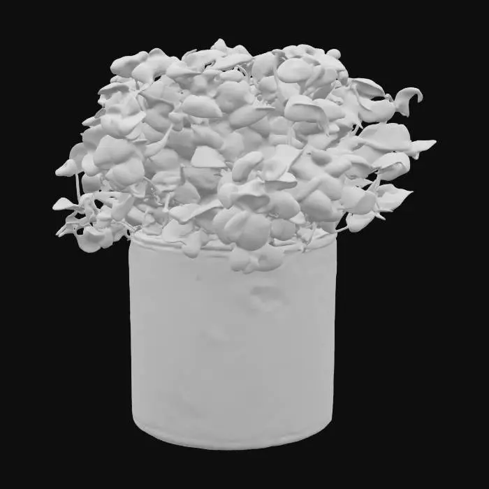 3D model for Basil plant