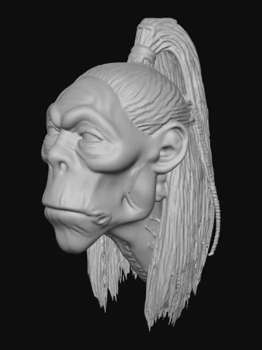 3D model for amazon shrunken head with lips sewn shut, hair is pulled up and back in ponytail