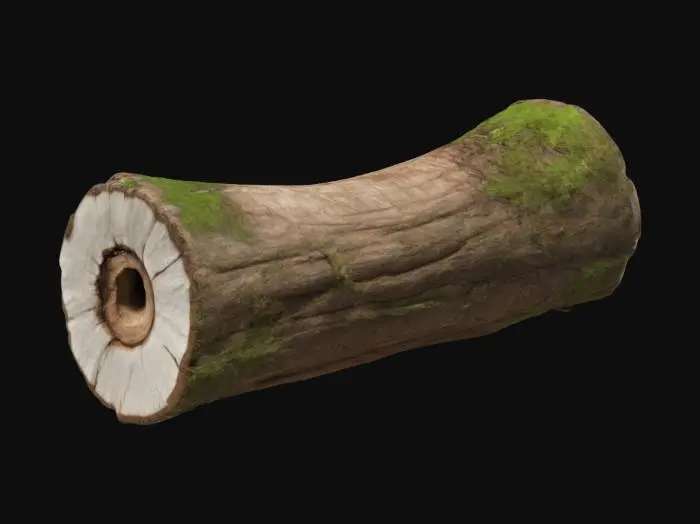 3D model for A weathered, fallen coconut tree trunk resting on the ground, appearing naturally aged with rough, textured bark. The cut end reveals dry, fibrous wood, slightly cracked. Its surface is smooth enough to sit on, with a few patches of moss and dirt adding realism. The surroundings include scattered dried leaves and small plants growing nearby, enhancing the tropical island vibe.