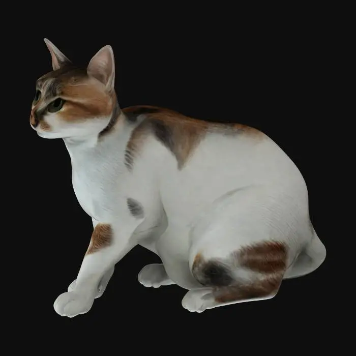 3D model for Calico Comfort, #ChristmasAdventure#