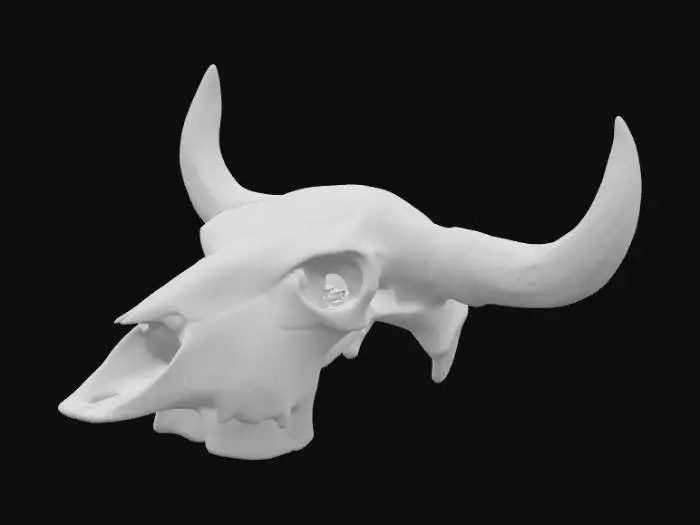 3D model for Faux Cow Skull