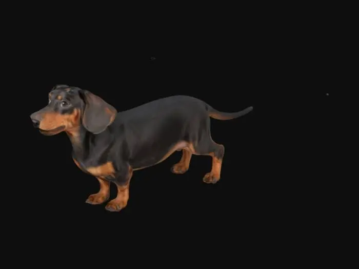 3D model for Dachshund
