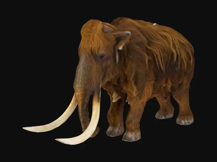 3D model for Woolly Mammoth Journey