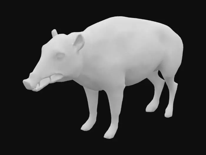 3D model for Boar Sketch