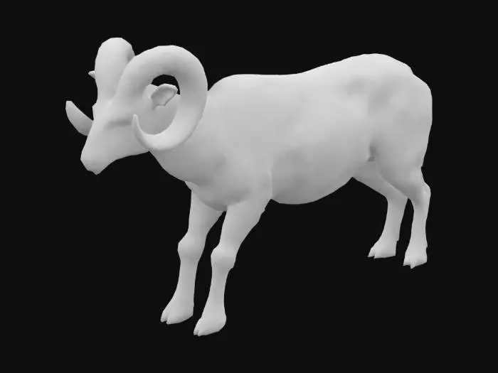 3D model for bighorn sheep / rams