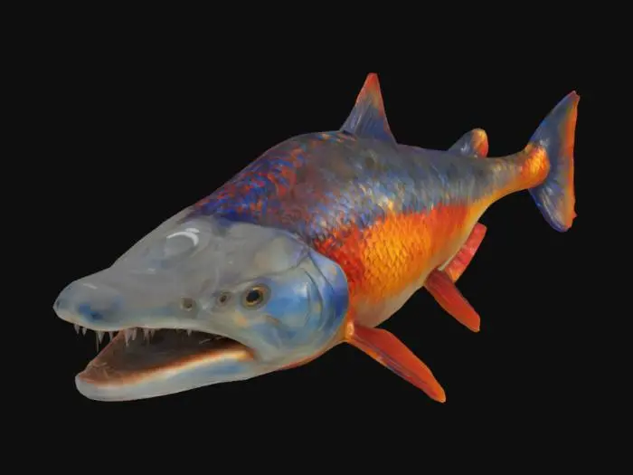3D model for Prehistoric Salmon
