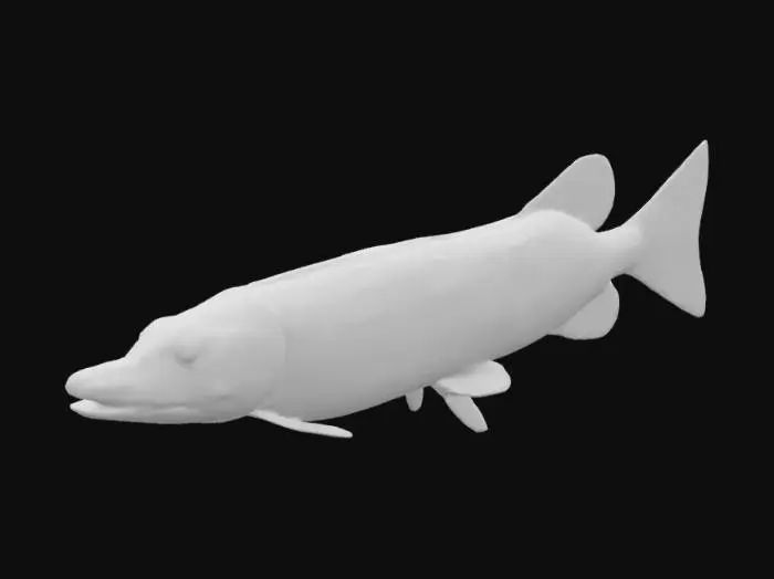 3D model for Pike 