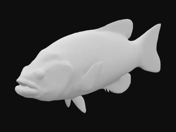 3D model for Smallmouth Bass