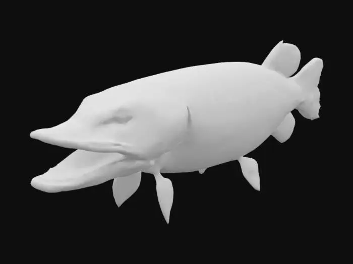 3D model for Pike Predator