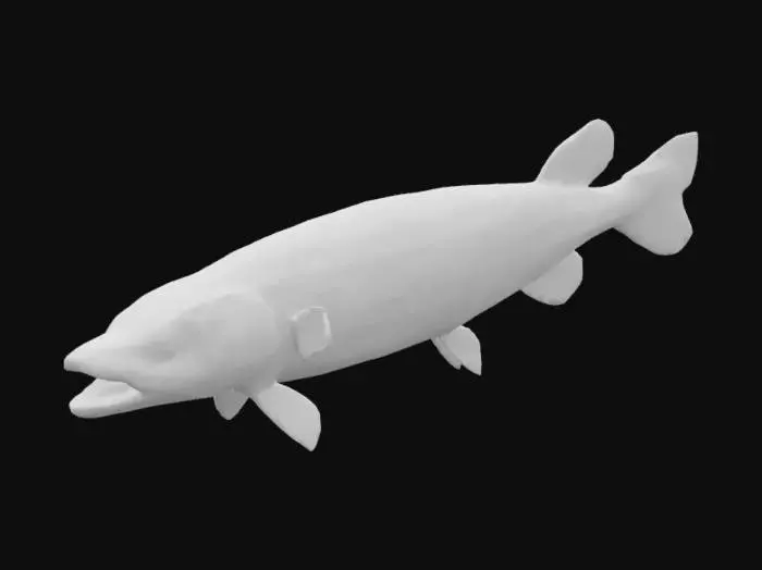 3D model for Pike 