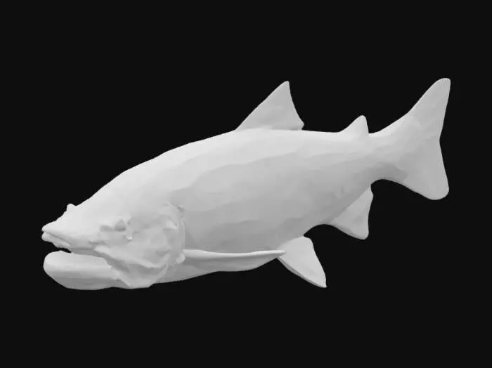 3D model for Rainbow Trout