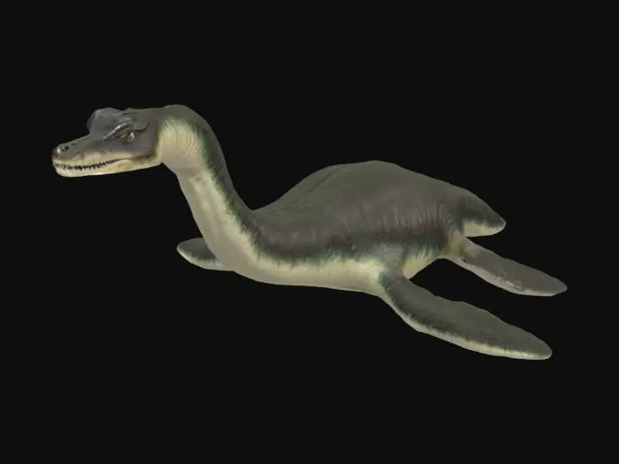 3D model for Plesiosaur Model