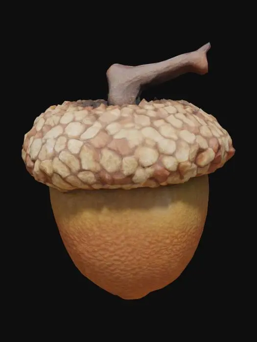 3D model for Acorn Essence