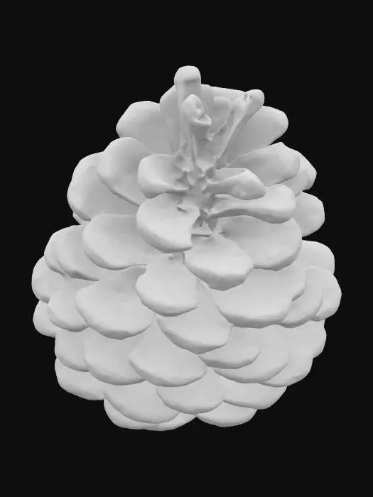 3D model for Pinecone Delight