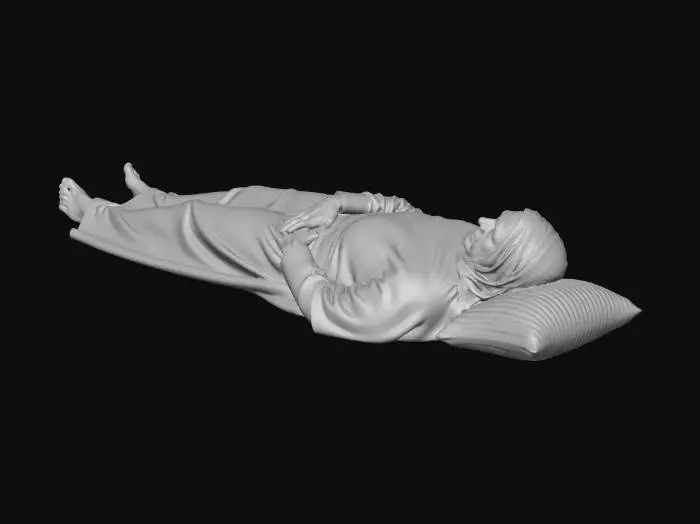 3D model for Quiet Rest