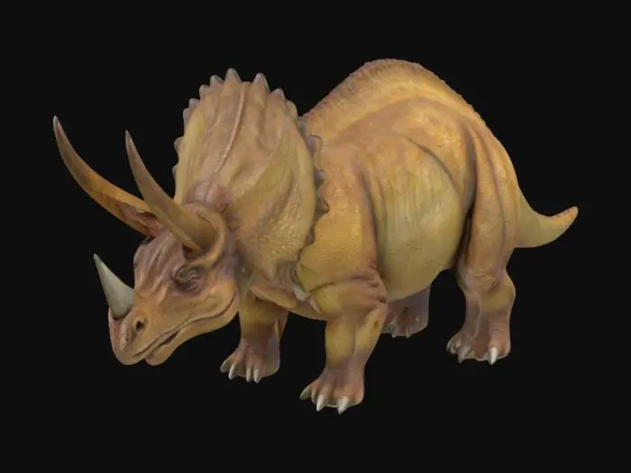 3D model for "A realistic triceratops standing firmly on four legs, detailed skin texture with scales and wrinkles, large head frill and three prominent horns, natural dinosaur anatomy, tail slightly curved, realistic proportions and pose, neutral expression, high detail for 3D modeling, natural lighting, no fantasy elements.