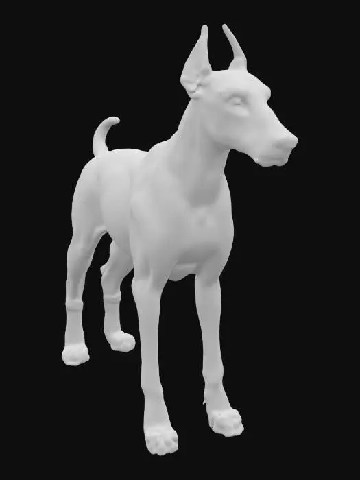 3D model for "Ultra-detailed 3D model of a Doberman Pinscher dog in a neutral standing pose. Sleek, muscular body with defined anatomy and short, glossy black coat with realistic tan markings on the chest, legs, and face. Alert ears cropped and standing upright, intense and intelligent facial expression. Tail docked, paws detailed with accurate pads and nails. High-resolution fur texture with light reflection, visible muscle contours beneath skin. Clean, symmetrical features with realistic proportions. No background, neutral studio lighting for model clarity. Cinematic-quality texture detail for use in close-up renders.

