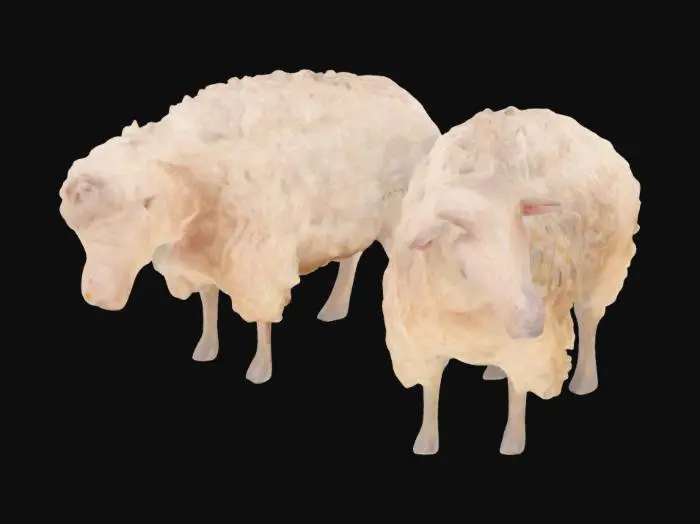 3D model for Grazing Sheep Duo