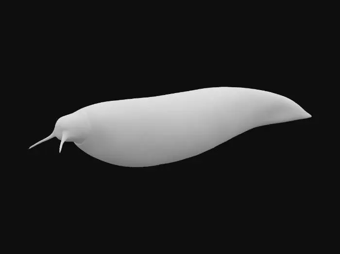 3D model for A giant slug with a long, smooth body. Slimy gray-green skin, shiny and wet. Underside ridged. Head blunt with a round mouth and short tendrils. Highly photorealistic, ultra-detailed, neutral pose.