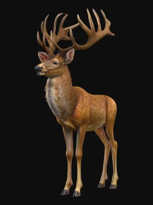 3D model for hyper realistic deer

