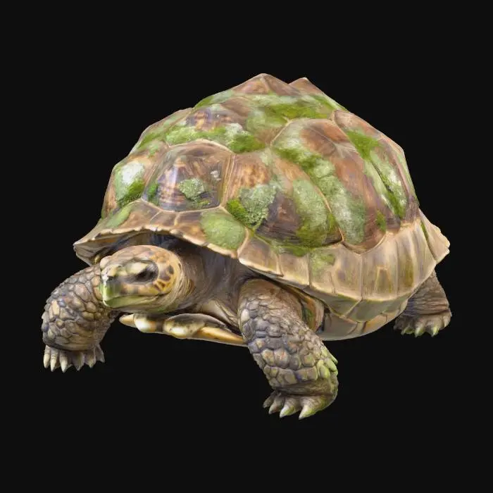 3D model for photo realistic Stoneback Tortoise – A rugged, moss-covered reptile with shell plates that shift like living rock, absorbing minor blows and releasing stored sunlight as a healing glow.