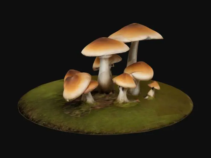 3D model for small mushrooms in a group